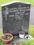 image of grave number 101261